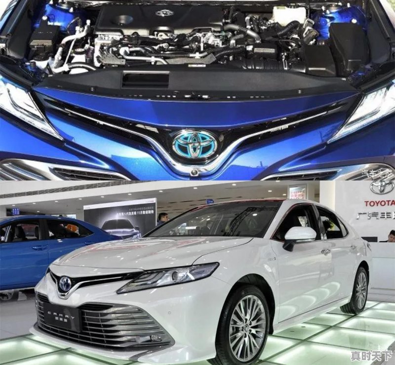 作价20万的二手车 - 真时天下