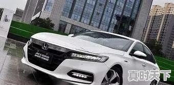 作价20万的二手车 - 真时天下