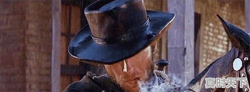 最新电影放映时间排行榜前十 - 真时天下