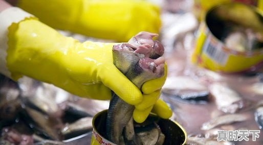 辣椒收购生意该怎么做 - 真时天下