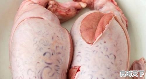 辣椒收购生意该怎么做 - 真时天下