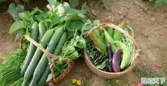 十里春风,万木竞发,百花争艳。有充满春意的照片分享吗 - 真时天下