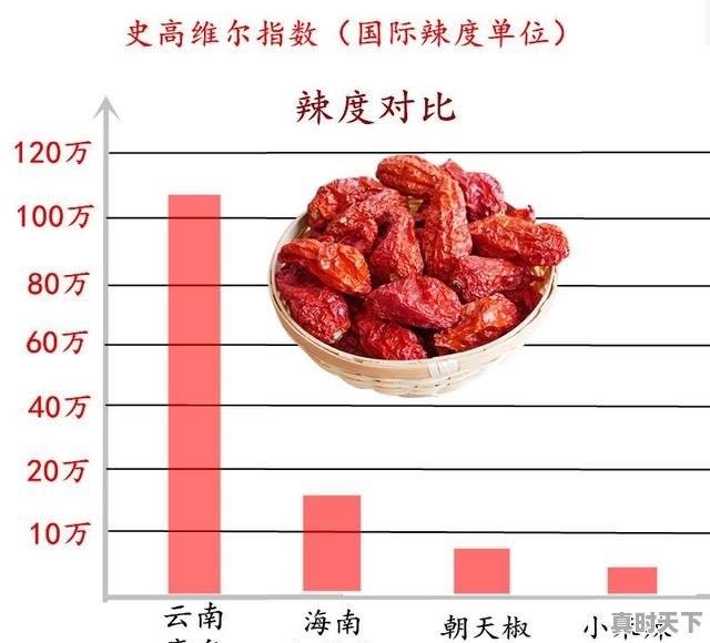 最辣的辣椒在中国什么地方 - 真时天下