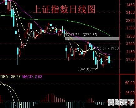 有哪些灵活运用龙头股、妖股形成的必要条件，帮助股民捕捉黑马强势股，成功率极高的技巧 - 真时天下