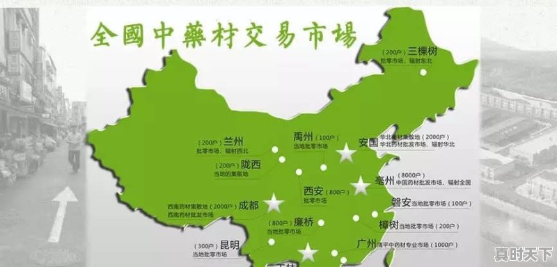 全国中草药产地和批发地有哪几个？怎么样 - 真时天下