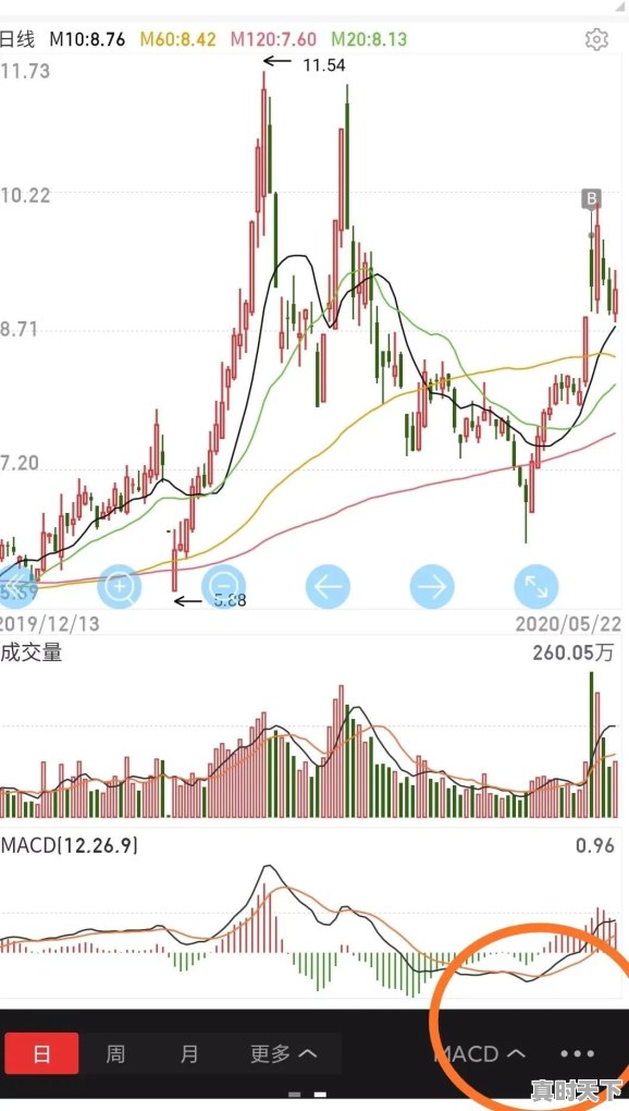 股票参数怎么算 - 真时天下