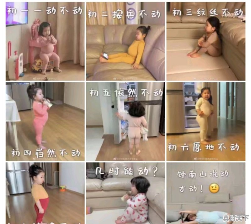 2020年的春节假期格外漫长，有什么电视剧、电影、综艺推荐，可以消耗一下时间 - 真时天下