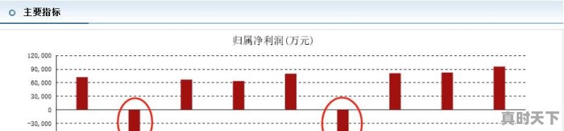 为什么有些公司上市时的财务表显示是盈利的，而上市之后就亏损了？能否严惩罚这些无良公司 - 真时天下