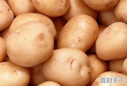 土豆价格今日市场价最新 - 真时天下