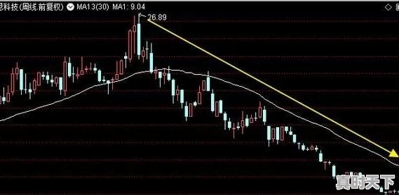 证券里怎样查询历史资金流向啊 - 真时天下