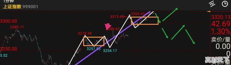 大智慧怎么查机构资金流入排行榜 - 真时天下