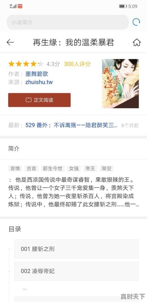 单机游戏猫夫人攻略 - 真时天下