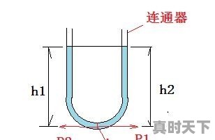 有趣的科技创新 - 真时天下