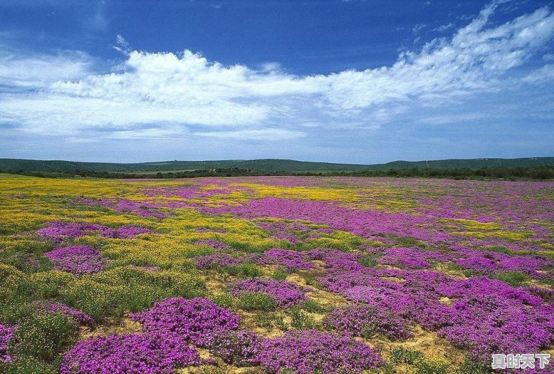 甘孜为啥确诊病人排名四川第二,仅次于成都?人流量很大吗 - 真时天下