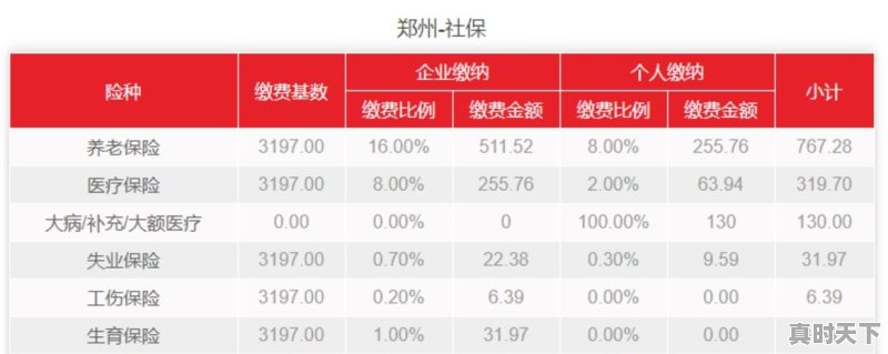 河南郑州今日猪价格行情 - 真时天下