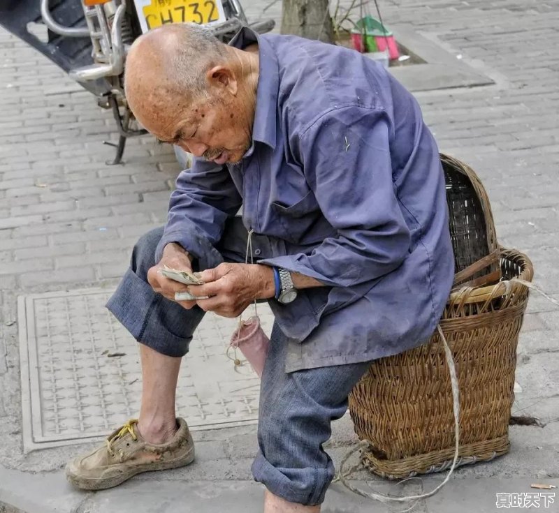 “谷雨点花生，夏至栽红薯，刨蒜不出头”句句饱含智慧，啥说法 - 真时天下