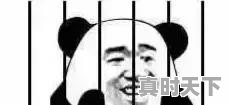 如果国际原油再涨到147美元一桶的话，国内油价将达到多少 - 真时天下