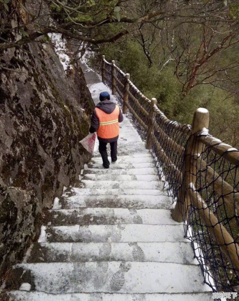 2021年春节河南会下雪吗 - 真时天下