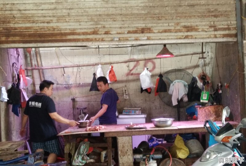 贵港中石化油价今日价格 - 真时天下