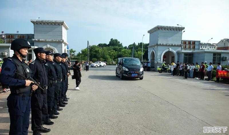 生猪今日价格江西多少钱 - 真时天下