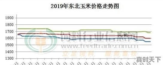 玉米价格开始回暖，玉米价格能涨到平均一元一斤吗 - 真时天下