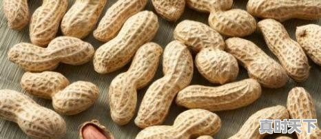2021年11月份花生价格如何 - 真时天下