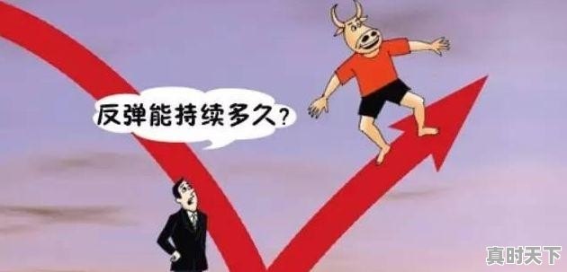 2021 年11 月14 废铁价格多少钱一吨 - 真时天下