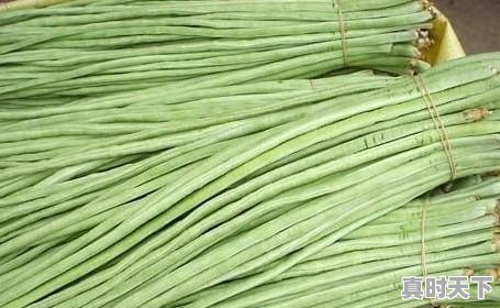 现在东北的油豆角多少钱 - 真时天下