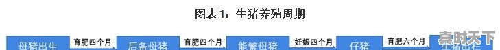 中国今日猪肉最新价格行情走势 - 真时天下