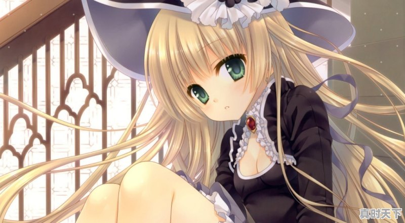 名侦探柯南电影排行 - 真时天下