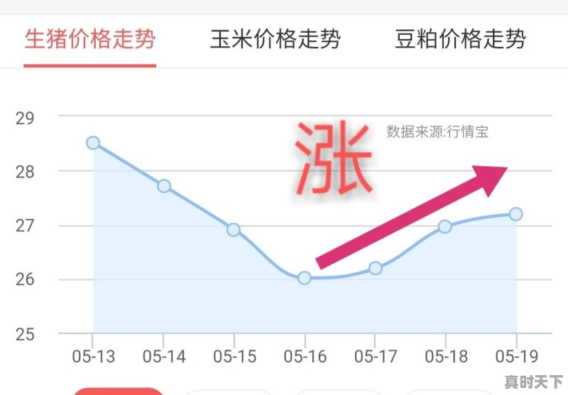 3月28日生猪今日价格 - 真时天下