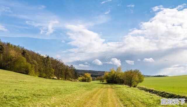 经常开夜车的人有遇到过什么科学解释不了的真实事件吗 - 真时天下