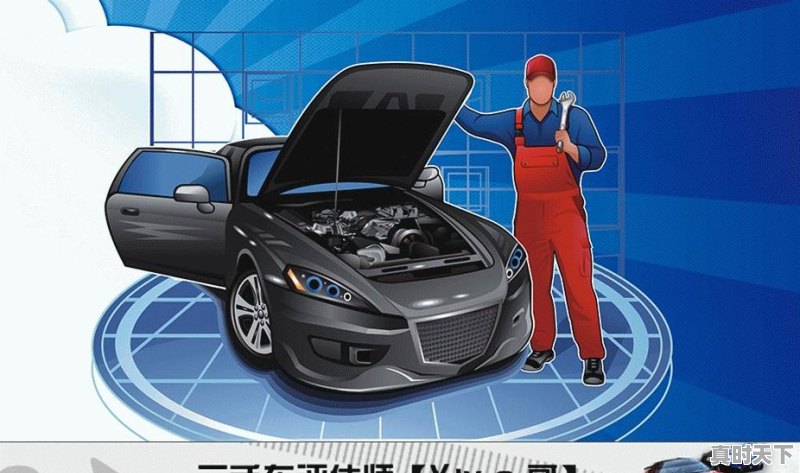 二手车金融市场分析 - 真时天下