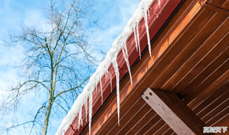 广东冬天的气温一般多少度 - 真时天下