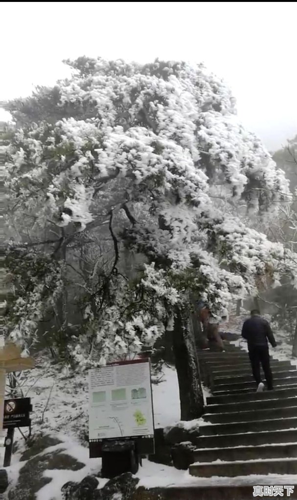 如何看待安徽多地迎来今冬首场降雪，未来一周天气怎么样 - 真时天下