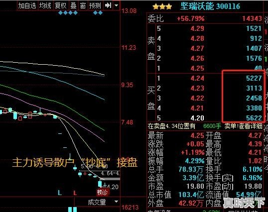 股票有资金买入为什么下跌呢 - 真时天下