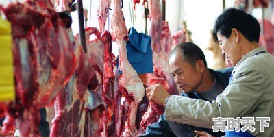 中央储备牛羊肉大量投放!牛羊价会如何变化 - 真时天下