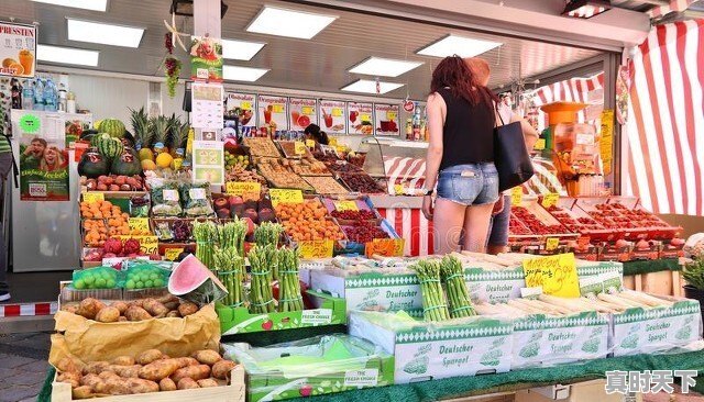 寿光今日西红柿价格行情走势 - 真时天下