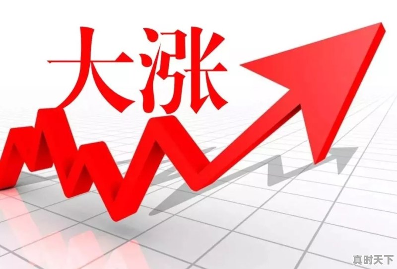 谁能预测今日生猪价格行情 - 真时天下