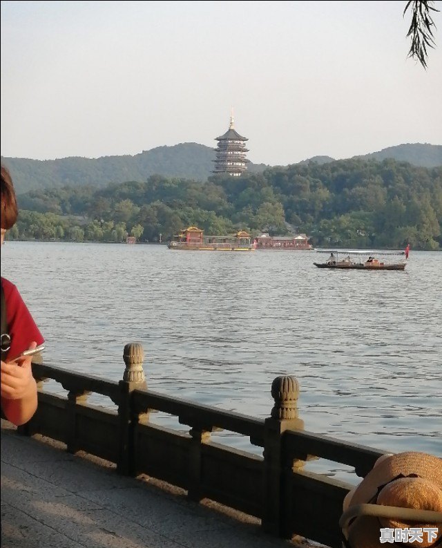 今日四川鸭子价格走势 - 真时天下