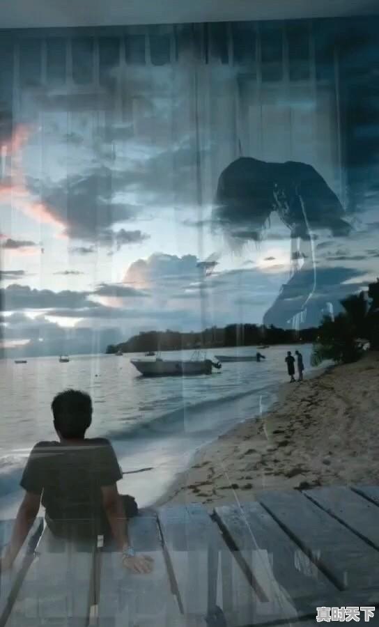 言情动漫推荐 排行榜2021年最新 - 真时天下