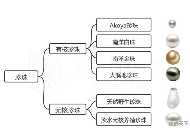 诸暨真空镀膜加工今日价格 - 真时天下