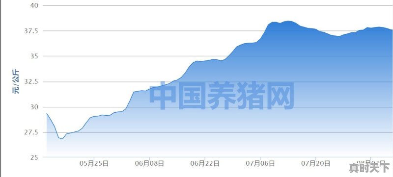 今日猪肉价格24元斤 - 真时天下