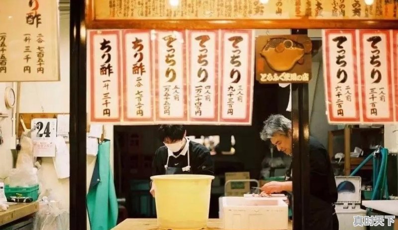 想去日本深度旅游，有哪些冷门的地方景点一定要去 - 真时天下