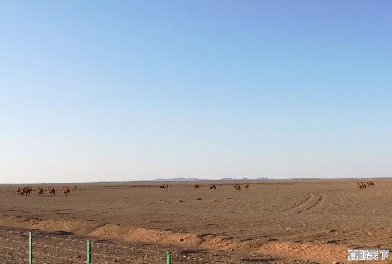 额济纳旗的旅游路线有哪些推荐 - 真时天下