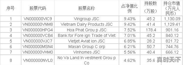 在国内如何买越南股票呢 - 真时天下