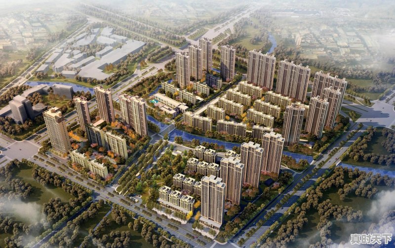 为什么铁矿石价格暴跌,这对澳大利亚意味着什么 - 真时天下