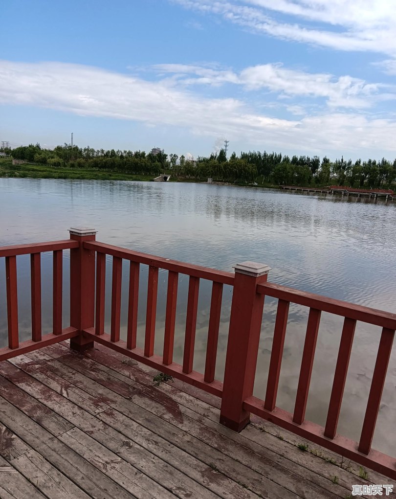 长期持有高分红股票，每年都有分红，那为什么还会亏钱呢 - 真时天下