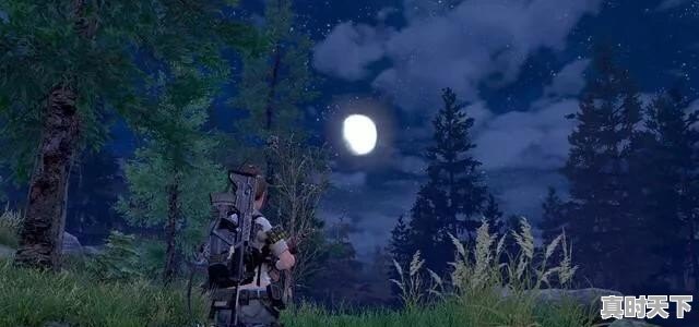 游戏荒推荐单机 - 真时天下