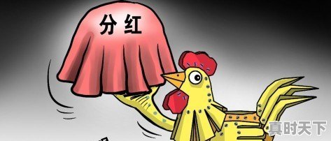 为什么买股票不能靠公司的分红赚钱 - 真时天下